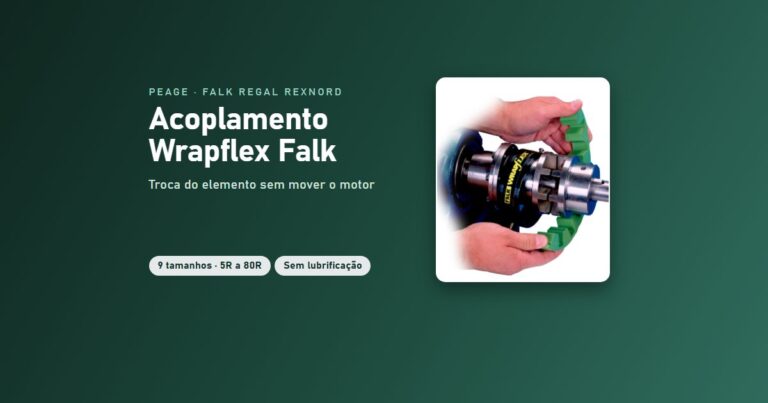 Acoplamento Falk Wrapflex Peage